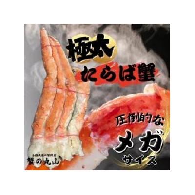 ふるさと納税 泉南市 【極太メガサイズ】生たらば蟹 生肩 約2.5kg