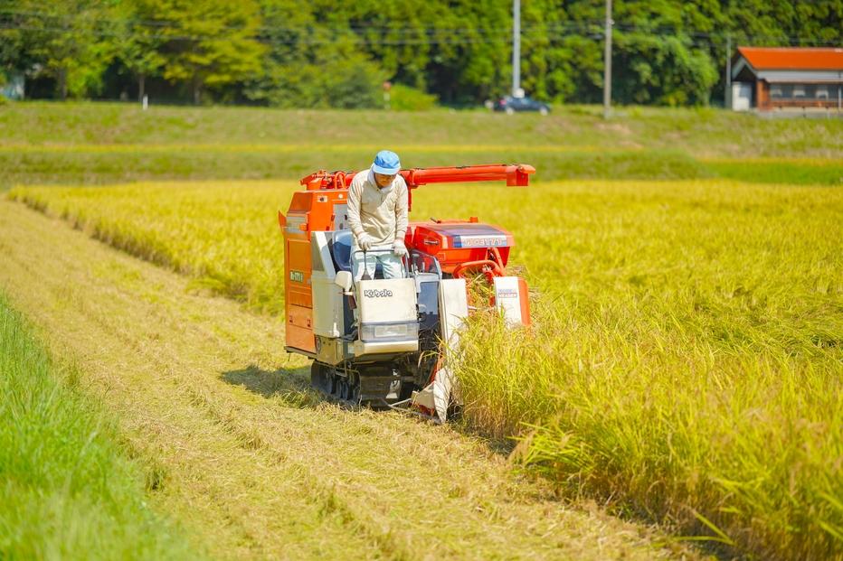 鹿野高原米コシヒカリ5kg 精米
