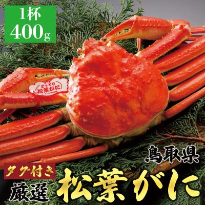 ふるさと納税 北栄町 【2026年11月発送】特撰 松葉がに(茹) 400g1杯 N19_Y