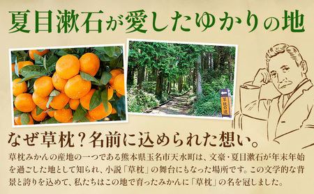 ＜先行予約＞草枕みかん 約4kg 《11月上旬-12月上旬頃出荷》熊本県 長洲町 フルーツ 柑橘 みかん ミカン 草枕 デザート 送料無料