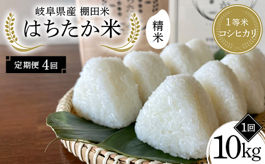 【4回定期便】岐阜県産 棚田米 1等米コシヒカリ はちたか米 精米10kg（5kg×2袋） F4N-2589