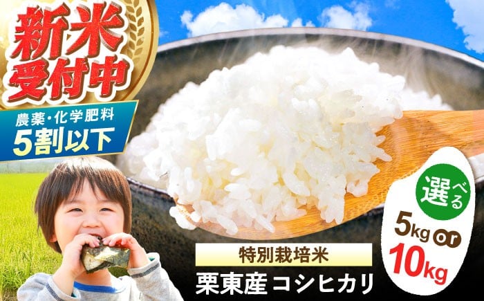 
            【選べる容量】令和7年度産 栗東産 特別栽培米 コシヒカリ / ご飯 ごはん ゴハン 新米 令和7年産 / 栗東市 / レーク滋賀農業協同組合[BIBV004]
          