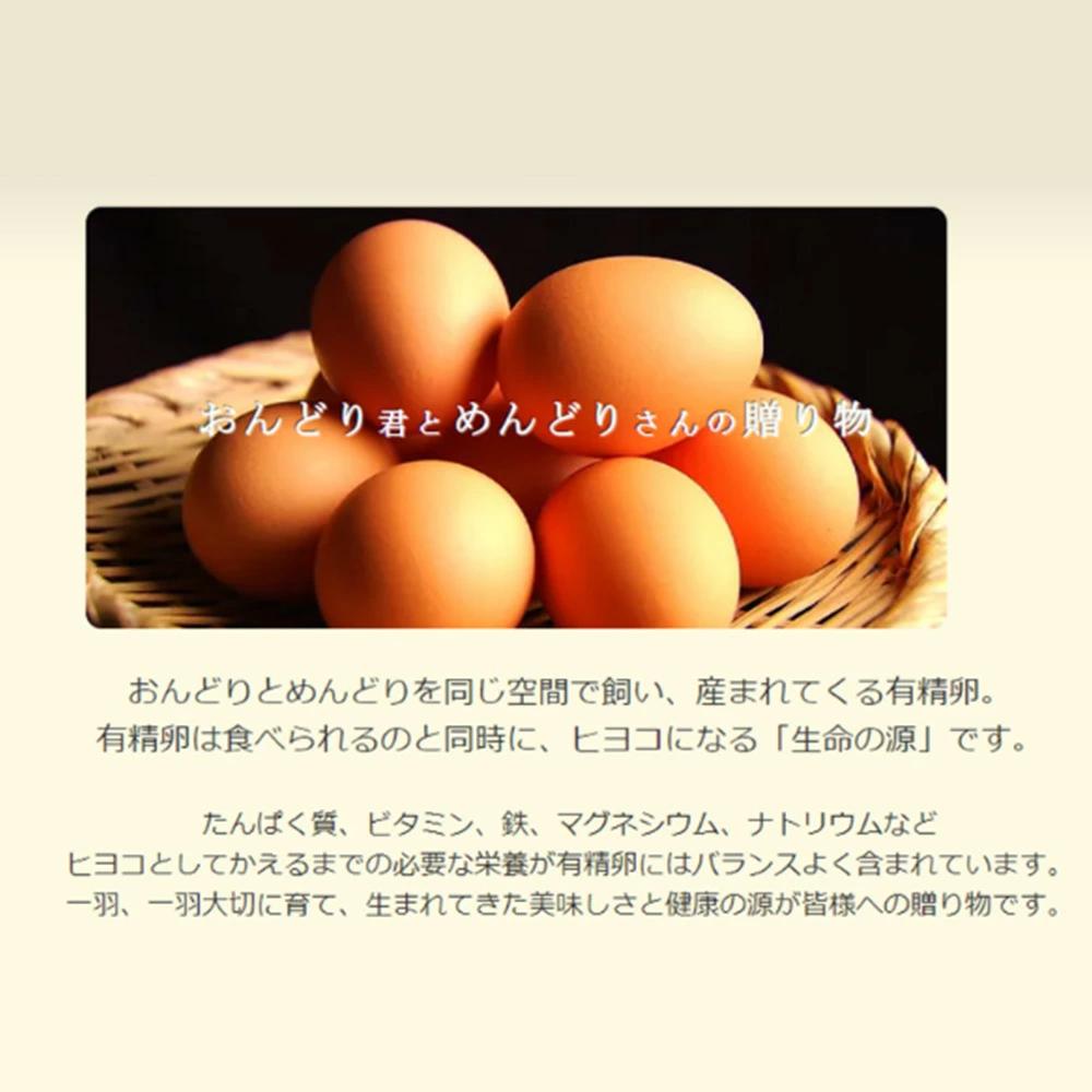 M151-0002_【ふるさと納税】おんどり君とめんどりさんの贈り物(6個入り×12P　計72個) 秋 旬