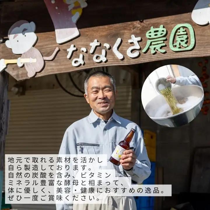 アップルビーヤ 330ml 6本詰め合わせ | クラフトビール 地ビール【ななくさナノブルワリー】