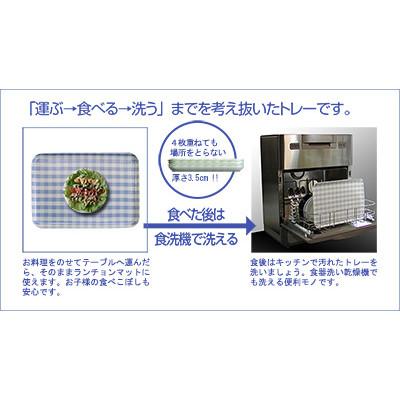 ふるさと納税 和歌山市 SRトレー L 39cm グローヴ 2枚セット 電子レンジと食洗機対応のトレー |  | 03