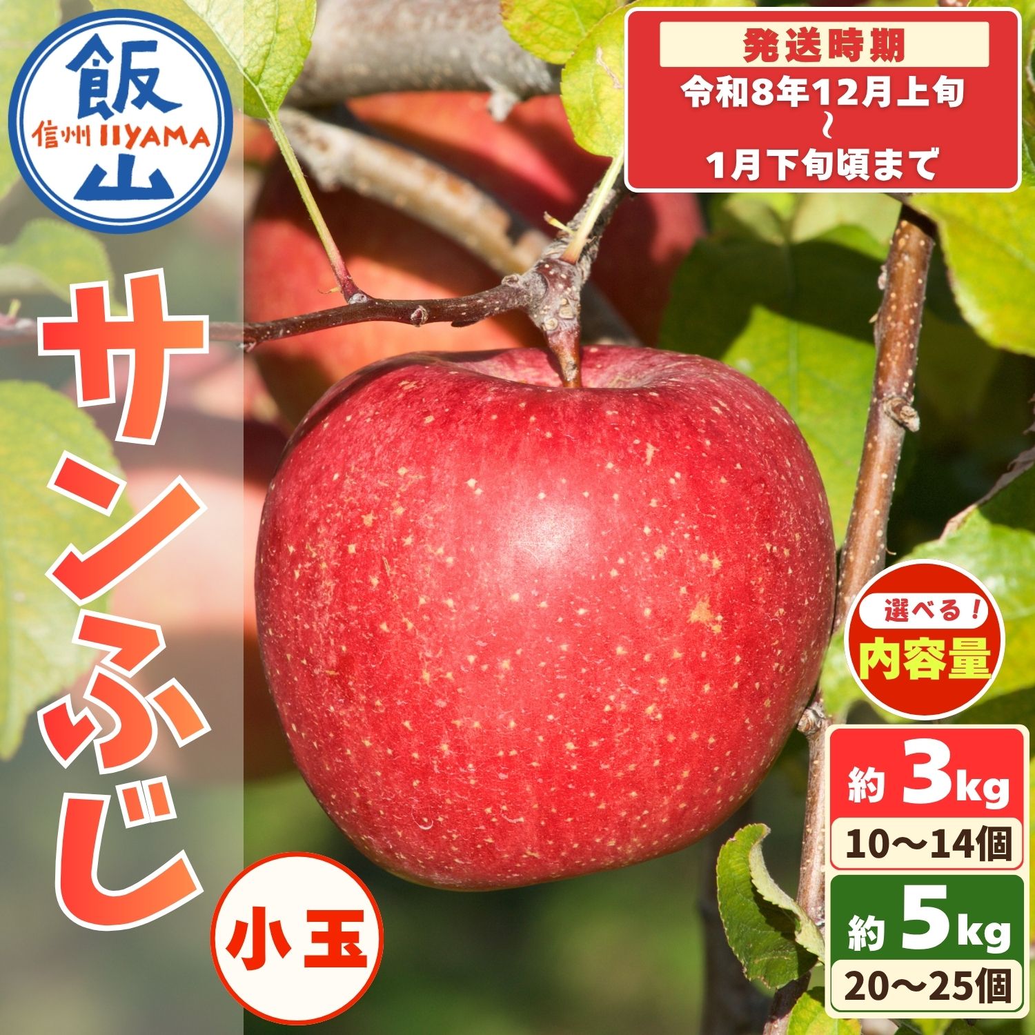 【ふるさと納税】2026年 先行予約 ＼小玉 サンふじ／ 信州 りんご 選べる 3kg 5kg ＜出荷時期：2026年12月上旬頃〜＞塩崎農園【 果物 フルーツ りんご 小さめ 規格外 家庭用 林檎 リンゴ ふじ 長野県 信州 数量限定 令和8年産 産地直送 生産者直送 自宅用 飯山市】(At)