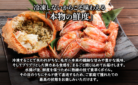 〈冷蔵発送〉流氷明け 枝幸沖 ボイル毛ガニ 1.5kg (2～3尾入) 先行予約【2027年3月頃発送予定】旬の味覚［丸中三興水産］オホーツク枝幸 前浜【 蟹 魚介 北海道 枝幸 】