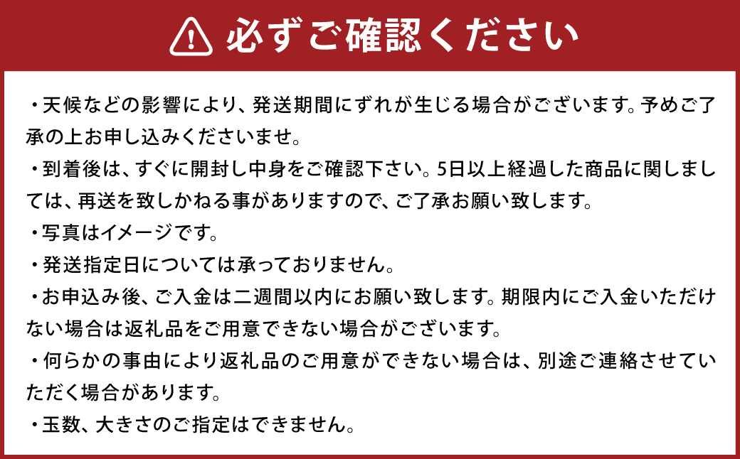 小玉スイカ 3Lサイズ以上 2玉入り 益城町 すいか 果物 フルーツ【2026年5月上旬-2026年7月下旬発送予定】