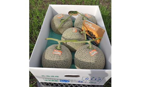 【2024年7月～発送】北海道 富良野市 ふらの赤肉 メロン 4～5玉入り 計 約8kg (中島農園) メロン フルーツ 果物 新鮮 甘い 贈り物 ギフト 道産 ジューシー おやつ ふらの ブランド 