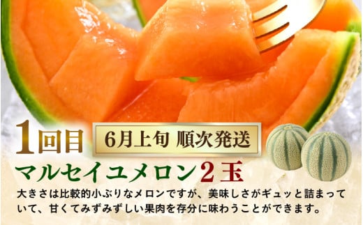 【先行予約】《定期便全5回》フルーツ大満足定期便 ／ すいか マスクメロン 高級メロン 大玉 果物 フルーツ 夏 ギフト 農家直送 ※2027年6月上旬以降発送  [aw065-d001]