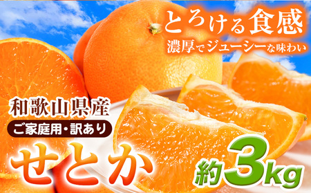 【先行予約】【家庭用 訳あり】とろける食感!ジューシー柑橘 せとか 約3kg 株式会社魚鶴 《2026年2月上旬-3月中旬頃出荷》 和歌山県 日高川町 みかん 柑橘 果物 フルーツ 送料無料