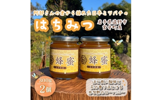 阿部さんの倉から採れた日本ミツバチ 蜂蜜 ＜300g×2＞遠野食工房蔵【1773051】
