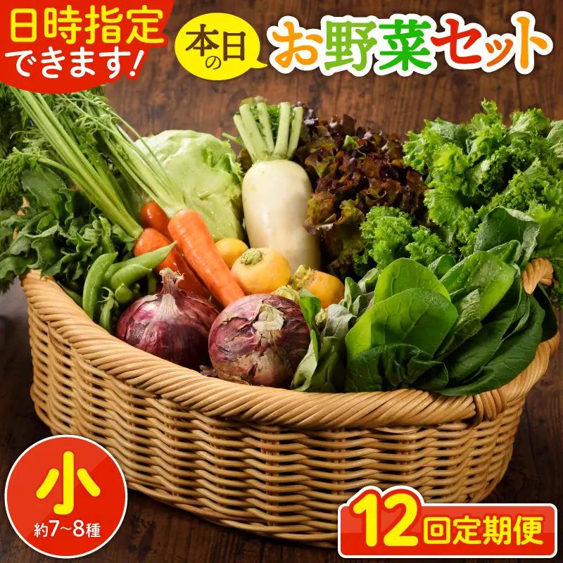 【12回定期便】日時指定OK！本日のお野菜セット （小サイズ/約8～10種） / 野菜 有機栽培 産地直送 新鮮 旬 詰め合わせ きのこ類 やさい 送料無料 【オーガニックのまち 宮崎県綾町】_A00
