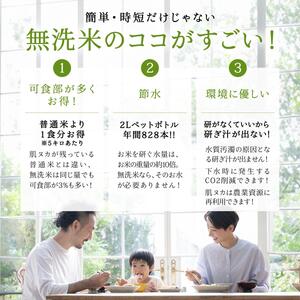無洗米 新潟県産コシヒカリ 5kg 無洗米 産地直送
