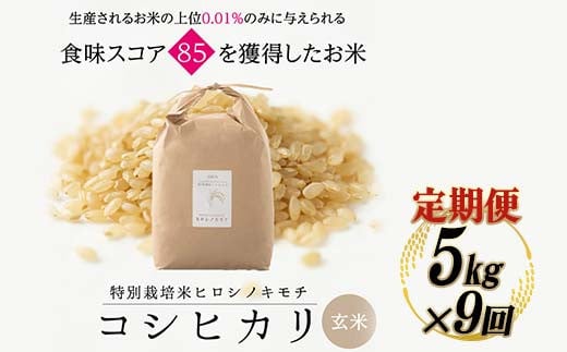
            《先行予約》【9回定期】特別栽培米 コシヒカリ ヒロシノキモチ 玄米 5kg 総計45kg 陽咲玲 米 お米 コメ ご飯 ごはん 富山県産 富山県 立山町 F6T-821
          