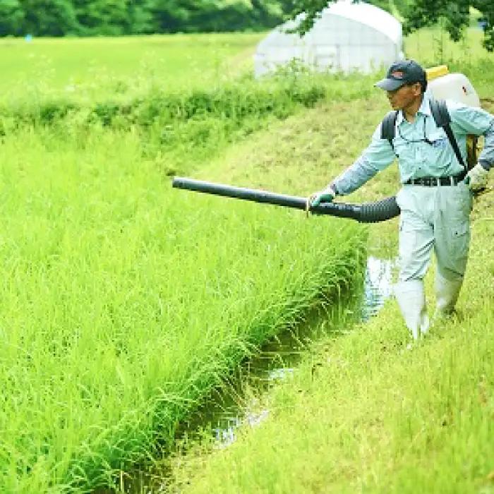 令和７年度産AKOMEYA TOKYO特別栽培米 コシヒカリ 窒素充填6kg×３回定期便【コシヒカリ こしひかり 真空パック 減農薬 特別栽培米 贈答用 プレゼント ギフト アコメヤ】