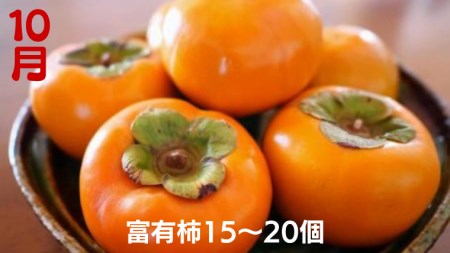 【 定期便 】 茨城のフルーツ 3ヶ月連続お届け便 【令和6年8月から発送開始】（県内共通返礼品：石岡市産） フルーツ 果物 定期便 秋 季節 梨 ブドウ ぶどう 柿 茨城