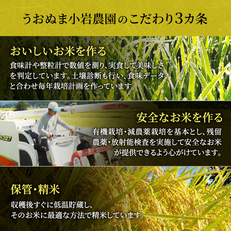 令和8年産 無洗米 米食味鑑定士 厳選 魚沼産 コシヒカリ 6kg （ 3kg × 2袋 ）  米 こしひかり 6kg お米 新潟 魚沼 魚沼産コシヒカリ 魚沼産こしひかり こめ 新潟県 