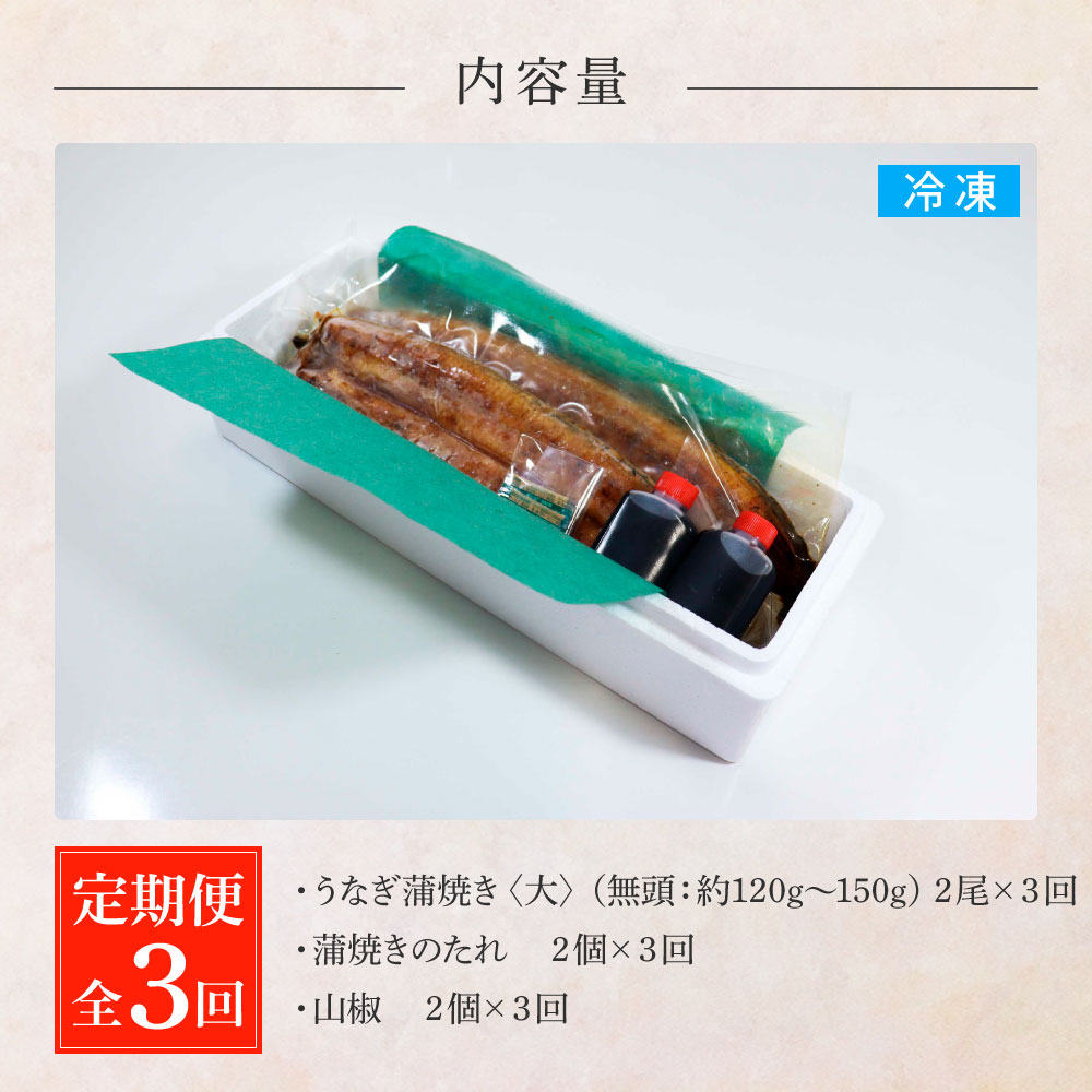 田野町産うなぎの蒲焼き(大) 2尾×3回 定期便 3ヶ月 定期コース 1尾あたり120～150g タレ付き 山椒付き うなぎ 鰻 ウナギ 蒲焼き かば焼き 無頭 おいしい 国産 お取り寄せ 冷凍 配送
