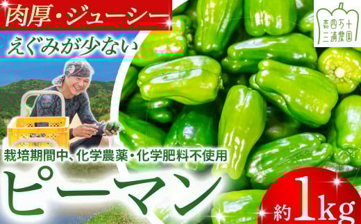 肉厚ジューシー！栽培期間中化学農薬・化学肥料不使用のえぐみ少ないピーマン1kg ／Fms-13