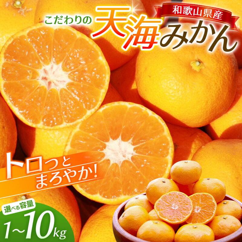 【ふるさと納税】中山農園自慢 天海みかん 完熟宮川早生 【選べる容量】 【1kg 3kg 5kg 10kg】【先行予約】※2025年12月から順次発送予定※ （期間限定・12/20まで）/ みかん 和歌山 ミカン フルーツ 果物 早生みかん 柑橘 田辺市 紀州田辺 甘い