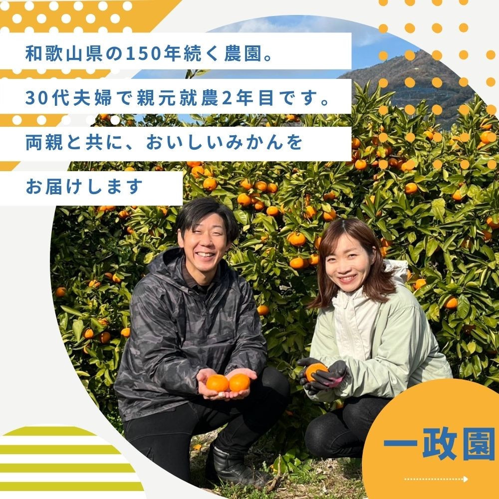 【ふるさと納税】有田みかん 極早生 2.6kg（箱込み3kg）家庭用 S～Lサイズ おまかせ【2026年11月発送】柑橘 フルーツ みかん 産地直送 お取り寄せ 送料無料