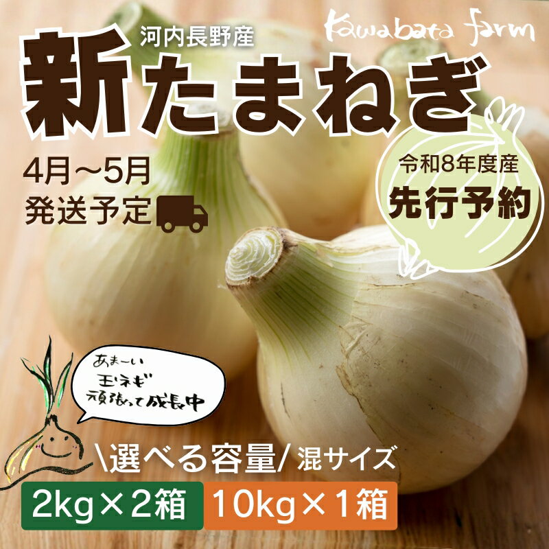 【ふるさと納税】【令和8年度産新玉ねぎ先行予約】新玉ねぎ 選べる容量 2kg×2箱 または10kg×1箱 ※4-5月発送予定 ｜ 混サイズ 玉ねぎ 新玉ねぎ たまねぎ タマネギ 玉葱 カレー シチュー 肉じゃが スープ サラダ 人気 大阪 河内長野 kawabata farm 料理 送料無料 先行予約