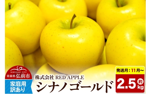 【26年11月～発送】りんご【訳あり】家庭用 シナノゴールド 約2.5kg 先行受付 [アップル おいしい シナノ シナノゴールド りんご 黄色 果実 果物 美味 林檎] [u9]