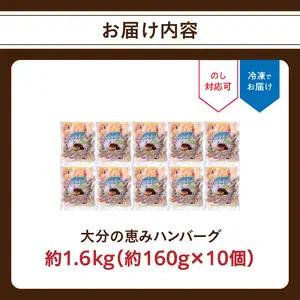 大分の恵みハンバーグ約1.6㎏（約160g×10個） A05067