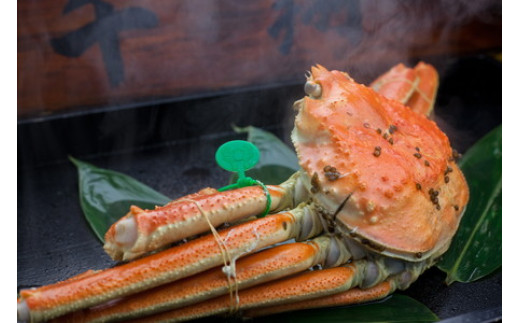 京丹後市産 茹で間人蟹【厳選】大サイズtaizakani900　間人がに 間人ガニ 間人蟹 たいざがに たいざガニ