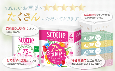 ティッシュペーパー 【 定期便 3ヶ月×2回 】 スコッティ ティシュー ファン 草加市