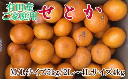 (訳あり・ご家庭用)一度は食べていただきたい「有田産のせとか」約4kg～5kg★2025年２月上旬頃より順次発送