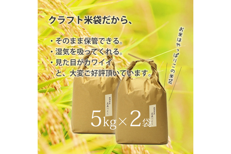 白米 精米 令和7年 元気つくし 5kg 2袋