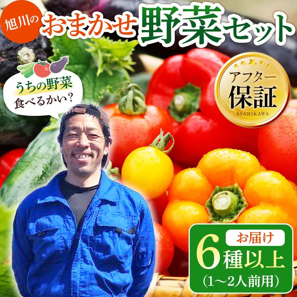 【先行予約】旭川のおまかせ野菜セット(6種以上)(2026年7月下旬発送開始) 野菜セット _05908