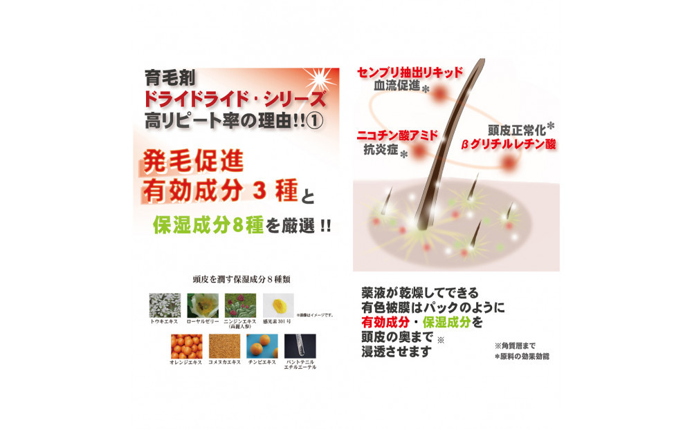 医薬部外品 育毛・発毛促進剤　ドライドライド　QZ-3D　１２０ｍＬ