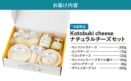 901-1 ナチュラルチーズ セット KN087-001 チーズ 乳製品