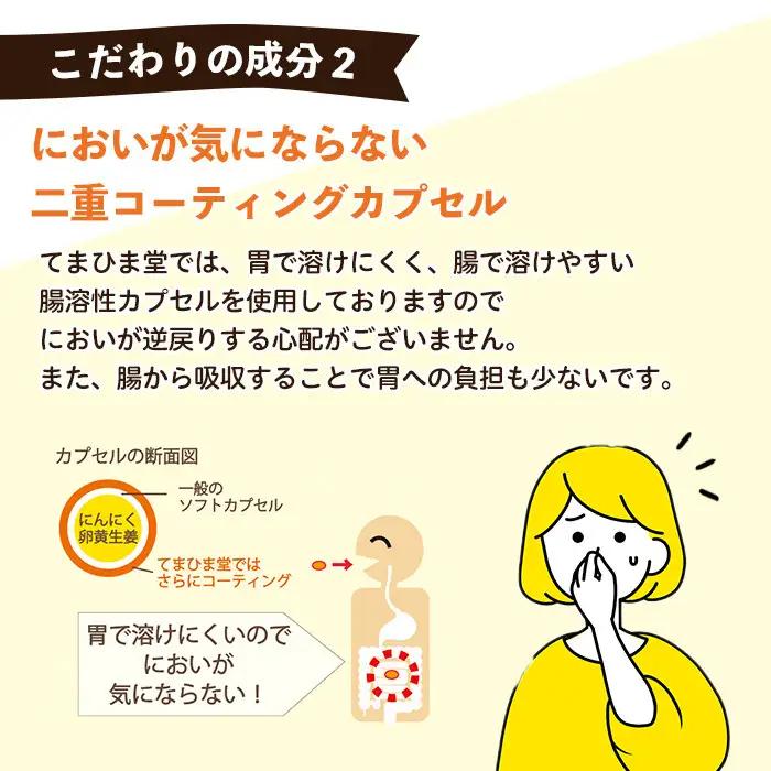 No.1285-A てまひま にんにく卵黄生姜(1袋 62粒入り・2袋×3回)  鹿児島 日置市 ニンニク 健康食品 栄養 元気 カプセル 安全安心 生姜 サプリ サプリメント 定期便 頒布会 【てま