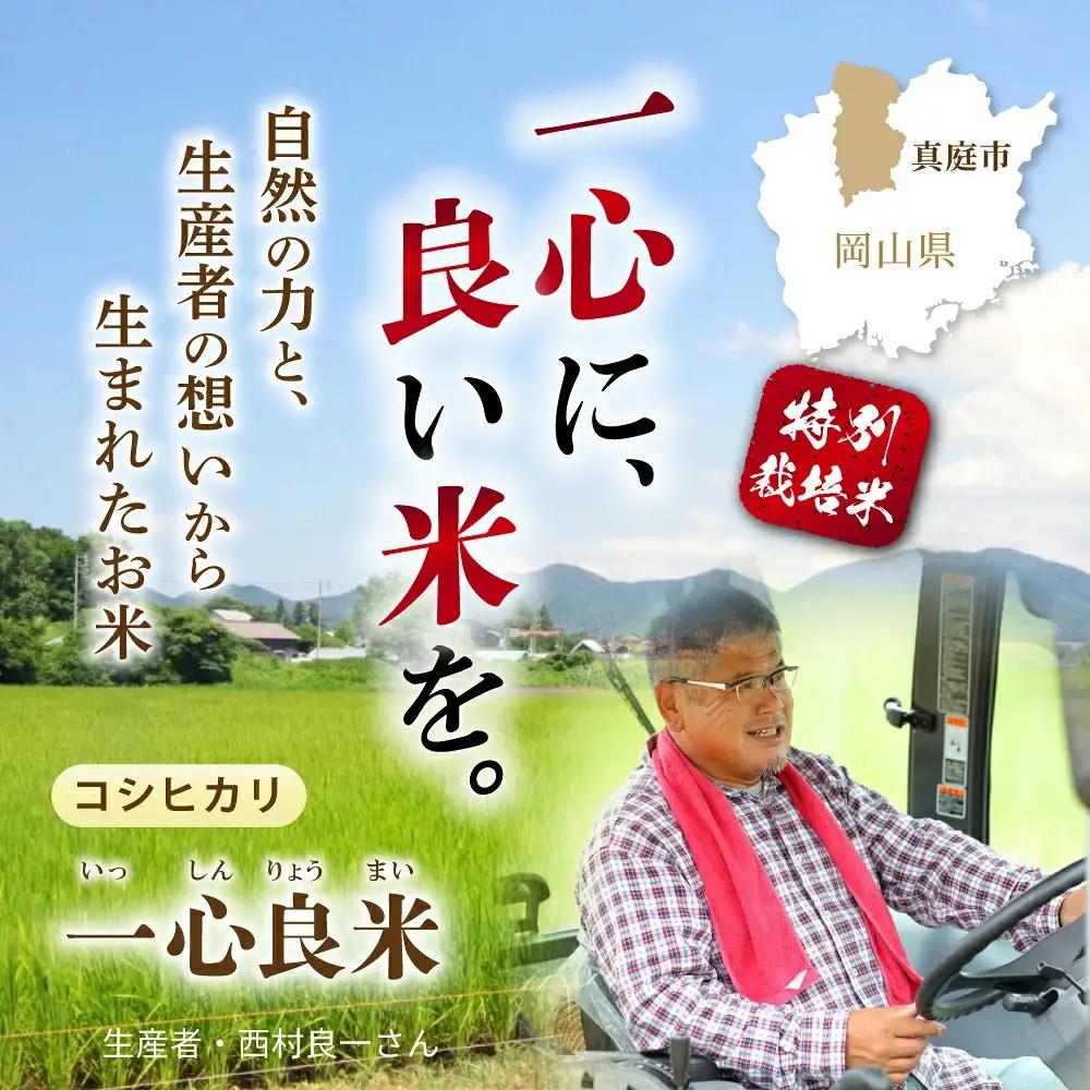 ＜全6回定期便＞ 真庭市産コシヒカリ 米ぬか 牡蠣栽培米 『 一心良米 』 玄米 10kg (5kg×2袋）×6回 令和8年産 / お米 いっしんりょうまい 岡山県 こしひかり 人気 ブランド 202