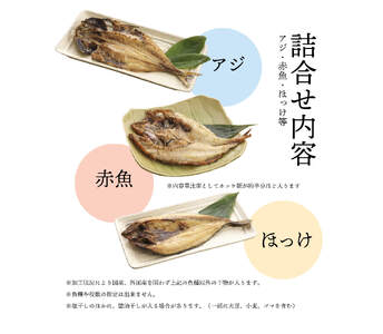【2025年05月発送】  干物 訳あり 干物 ひもの 約1.8kg おまかせ 詰め合わせ 干物 セット 本場沼津 規格外 不揃い 