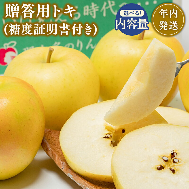【ふるさと納税】≪内容量が選べる≫【10~12月発送】青森県産 贈答用 トキ（糖度証明書付き） 3kg 5kg【青森県 平川市 那由多のりんご園】贈答 青森 青森県産 平川 りんご リンゴ 林檎 くだもの 果物 フルーツ レビューキャンペーン