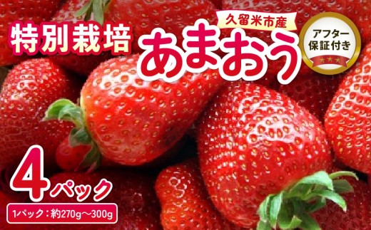特別栽培あまおう 4パック ふくおかエコ農産物_いちご あまおう 約 270g ～ 300g 4パック 大粒 濃厚 甘い 特別栽培 安心 安全 冷蔵 果物 フルーツ ストロベリー アフター保証 スイーツ ケーキ スムージー ジャム デザート 福岡県産 ふくおかエコ農産物 国産 お取り寄せ 福岡県 久留米市 送料無料_Fi003