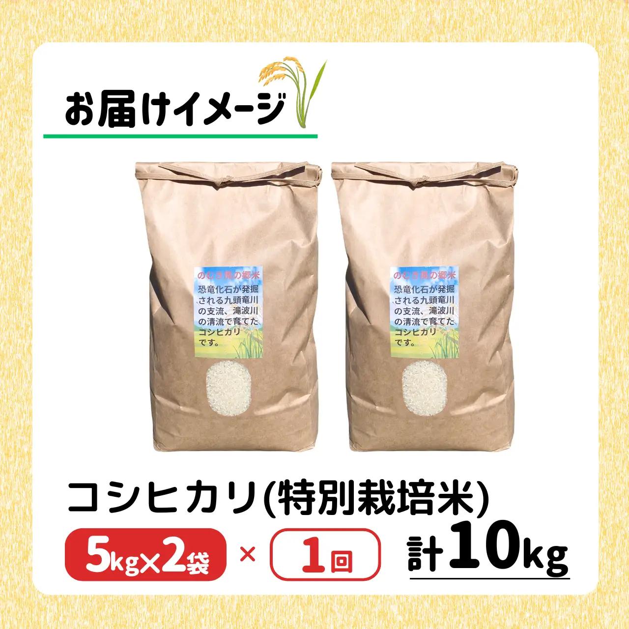 精米 令和8年産 コシヒカリ 特別栽培米 のむき風の郷 精米 5kg×2袋  先行予約