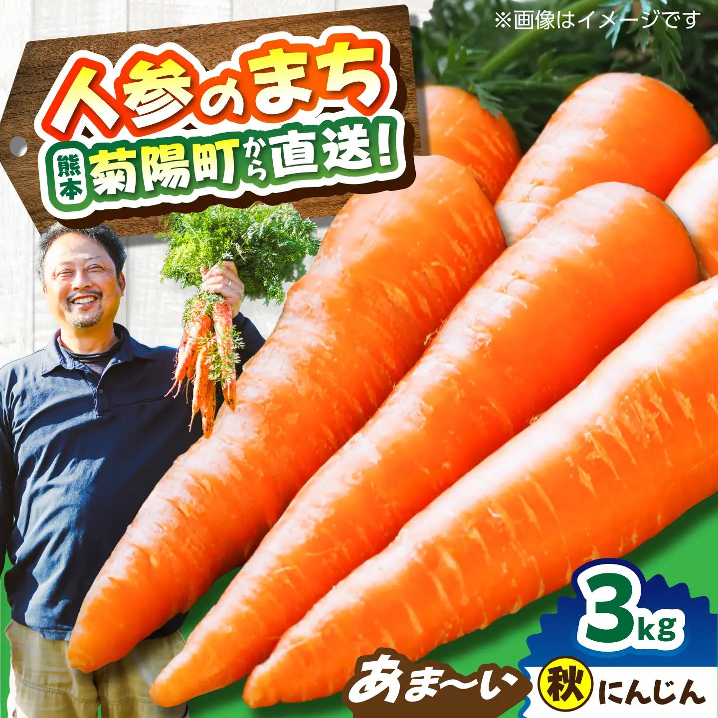 【先行予約12月中旬より順次発送】菊陽秋冬にんじん 秀品 約3kg にんじん BHDH007