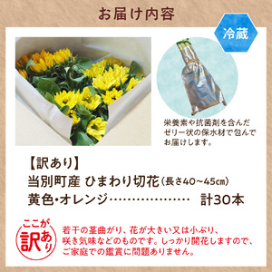 【訳あり】ひまわり 切花 30本 黄色 オレンジ 四季農場《6月上旬-9月下頃出荷》北海道 当別町 花 お花 はな ひまわり 夏 切り花 冷蔵便 北海道産 当別町産 インテリア