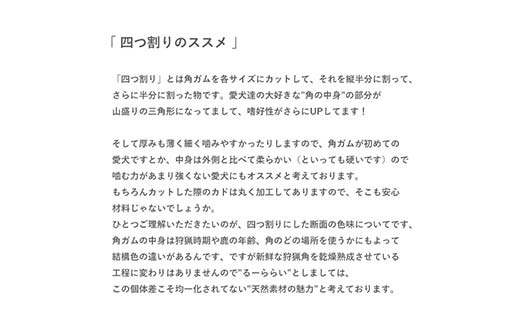 エゾ鹿の角ガム 12cm 小型犬用 四つ割り 4個 北海道産 国産 無添加 犬用ガム 天然鹿角 長持ち デンタルケア ペット おやつ F5F-0069