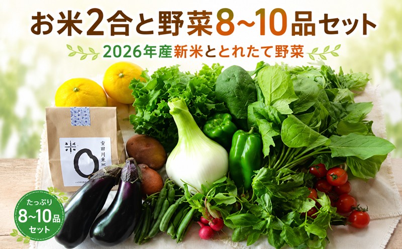 
                  お米2合 野菜8～10品目セット 米 2合 野菜 8～10品 セット 詰め合わせ  お米 300g  白米 ヒノヒカリ 採れたて 家計応援 果物 やさい フルーツ 使い切り トマト なす  ブランド米 精米   クリスマス 年末年始 人気 プレゼント 高知県 安田町 MR-01
                