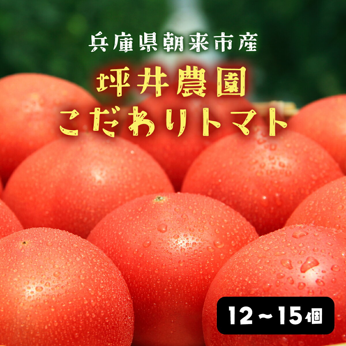 【ふるさと納税】7月3日まで！！！ ＼数量限定／ 坪井農園の厳選！こだわりトマト（12～15個入り） 期間限定 限定 トマト とまと 期間限定 人気 桃太郎 桃太郎トマト 桃太郎トマト 美味しい おいしい 夏野菜 野菜 兵庫県 朝来市 AS2BB4