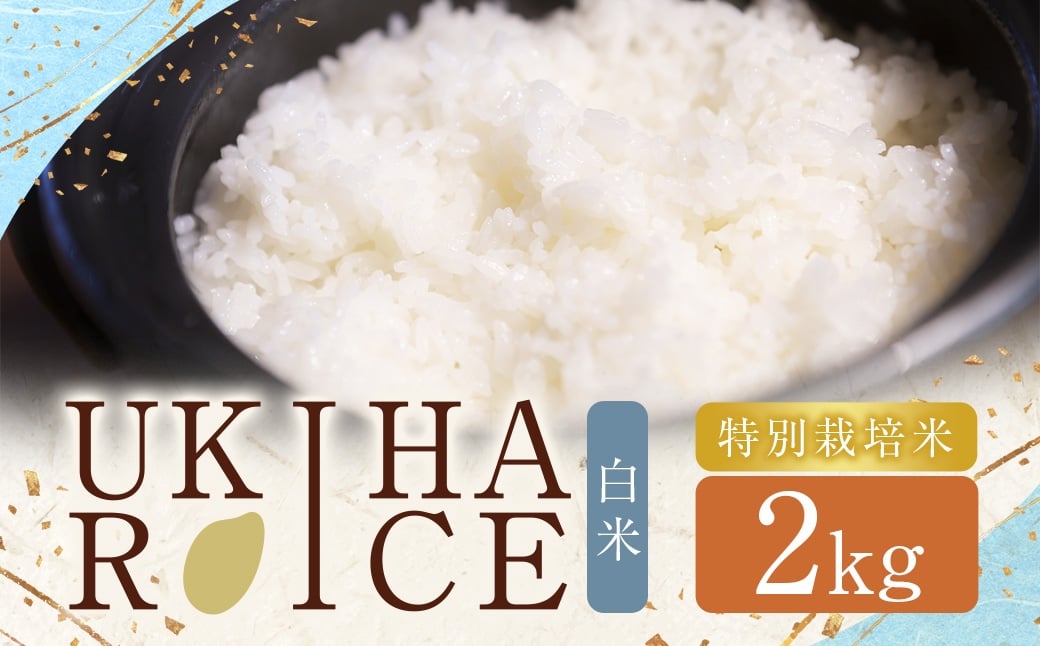 
                  UKIHA RICE 白米2kg（特別栽培米） 白米 精米 栽培米 お米 米 ご飯 主食 白飯 ヒノヒカリ 福岡県 うきは市 【2025年11月上旬から2026年8月下旬発送予定】
                