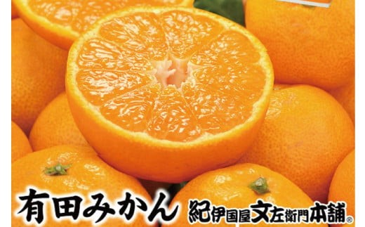 
                  ブランド有田みかん【M】秀品10kg ／産地直送／薄皮で甘い美味しい和歌山県産／紀伊国屋文左衛門本舗　※2026年11月上旬～2027年1月中旬頃に順次発送予定（お届け日指定不可）【kstb142C】
                
