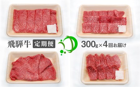 《定期便》飛騨牛 4回お届け 4ヶ月 焼肉 すき焼き しゃぶしゃぶ ミニステーキ 300g 5等級[Q602]